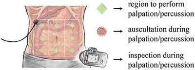 iApp: An Autonomous Inspection, Auscultation, Percussion, and Palpation Platform